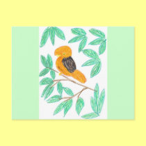Cock o the Rock by Wendy C. Allen postcards