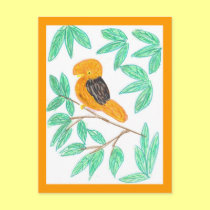 Cock o the Rock by Wendy C. Allen postcards