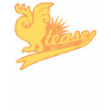 Cock Tease shirt
