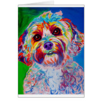 Cockapoo #1 cards