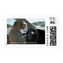 Cockapoo At The Wheel Stamps