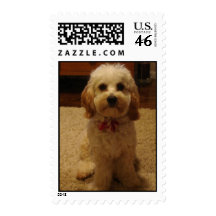 Cockapoo Stamp