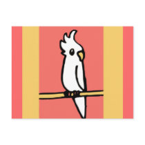 Cockatiel Illustration postcards