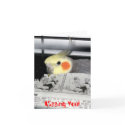Cockatiel-Missing You cards by tanyawilsonlund Cockatiel-Missing You cards