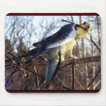 Cockatiel Mousepad 1 by Petcetera Cockatiel Mousepad 1