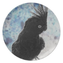Cockatiel negativo platos para fiestas