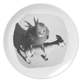 Cockatiel on rubber goat black and white picture plate