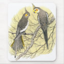 Cockatiel Pair - Nymphicus hollandicus mousepads by LisasLair Cockatiel Pair - Nymphicus hollandicus mousepads