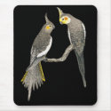 Cockatiel Pair - Nymphicus hollandicus on Black mousepads by LisasLair Cockatiel Pair - Nymphicus hollandicus on Black mousepads