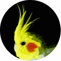 Cockatiel photo sculptures
