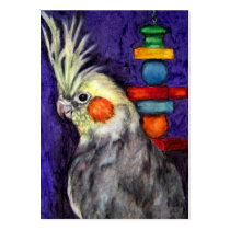 Cockatiel Portrait ACEO Art Trading Cards business cards