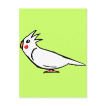 Cockatiel postcards