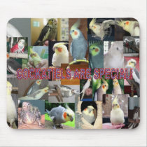 Cockatiels are special mousepads by collin999 Cockatiels are special mousepads
