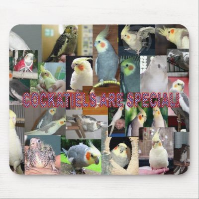 Cockatiels are special mouse pad by collin999