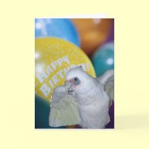 Cockatoo Birthday Card