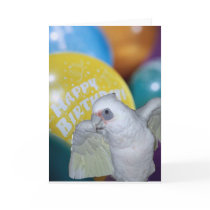Cockatoo Birthday Card by Ffamily Cockatoo Birthday Card
