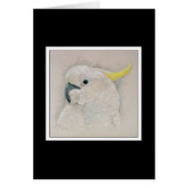 Cockatoo cards by pawtraitart Cockatoo cards