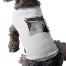 Cockatoo Dog Shirt