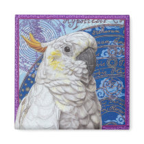 Cockatoo magnets