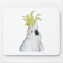 COCKATOO mouse pad mousepads