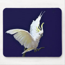 cockatoo mousepads by deemac1 cockatoo mousepads