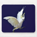 cockatoo mouse mat
