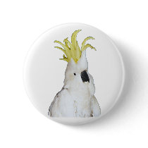 COCKATOO pin buttons by DODGERFL COCKATOO pin buttons
