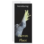Cockatoo Personalized Rack Card