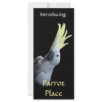 Cockatoo Personalized Rack Card