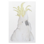 Cockatoo Stationery Paper