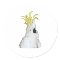 Cockatoo Round Sticker