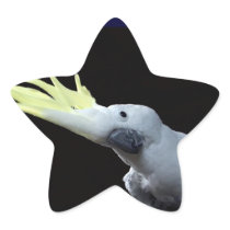 Cockatoo Sticker