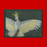 Cockatoo Stretched Canvas Print canvas prints
