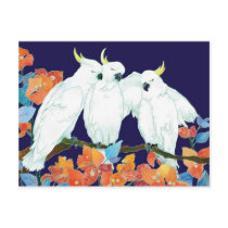 Cockatoos postcards