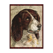 Cocker Spanial Dog Print postcards