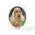 Cocker Spaniel 8M98D-08 cards by TraffordPhotos Cocker Spaniel 8M98D-08 cards