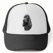 Cocker Spaniel 9T004D-206 hats by TraffordPhotos Cocker Spaniel 9T004D-206 hats