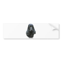 Cocker Spaniel 9T004D-537 bumper stickers by TraffordPhotos Cocker Spaniel 9T004D-537 bumper stickers