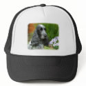 Cocker Spaniel 9W017D-139 hats by TraffordPhotos Cocker Spaniel 9W017D-139 hats