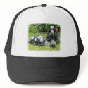 Cocker Spaniel and puppy 9W017D-067 hats by TraffordPhotos Cocker Spaniel and puppy 9W017D-067 hats