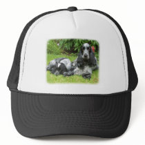 Cocker Spaniel and puppy 9W017D-067 hats by TraffordPhotos Cocker Spaniel and puppy 9W017D-067 hats