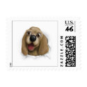 Cocker Spaniel Busting Out - Customized stamp