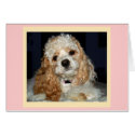 Cocker Spaniel Card by davidg Cocker Spaniel Card