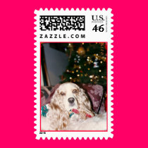 cocker spaniel christmas stamp