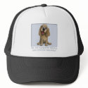 Cocker Spaniel Favorite hat