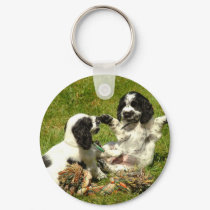 Cocker Spaniel Fun