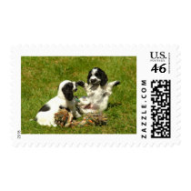 Cocker Spaniel Fun Postage