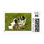 Cocker Spaniel Fun postage