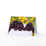 Cocker Spaniel Greeting cards