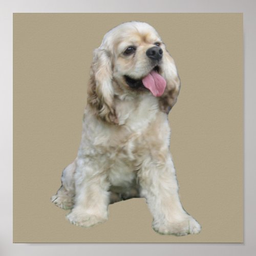 Cocker Spaniel Irresistible Print print